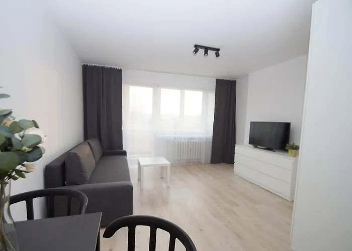 Katowice, Sokolska 33, City Center Apartment *